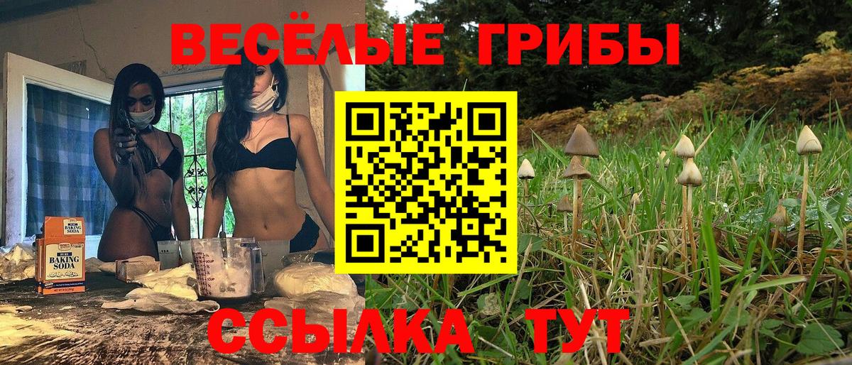 Галлюциногенные грибы мухоморы  Вход с VPN  Зеленогорск 
